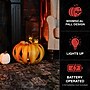 Haunted Hill Farm 1.2-Ft. Metal LED Pumpkin Lantern Decor, Indoor & Covered Outdoor, Battery Operated, Orange (HHMT014PMP-ORG)~#|#~sp322105011_sc7