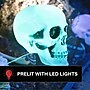 Haunted Hill Farm 1-Ft. Skull Stakes with Lights, Set of 6, Battery-Operated, Multi-color (HHLTCLOWN-1L)~#|#~sp322105027_sc7