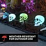 Haunted Hill Farm 1-Ft. Skull Stakes with Lights, Set of 6, Battery-Operated, Multi-color (HHLTCLOWN-1L)~#|#~sp322105030_sc7