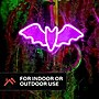 Haunted Hill Farm 0.6-Ft. Neon Purple LED Bat Wall Decoration for Indoors & Covered Outdoors, Plug-in (HHLED015BAT-PUR)~#|#~sp322105110_sc7