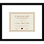 Amanti Art 8.5" x 11" Wood Document Frame, Svelte Noir Black (A426710363735)~#|#~sp322163590_sc7