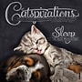 2027 Willow Creek Catspirations  12" x 12" Monthly Wall Calendar (59593)~#|#~sp322163808_sc7
