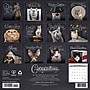 2027 Willow Creek Catspirations  12" x 12" Monthly Wall Calendar (59593)~#|#~sp322163809_sc7