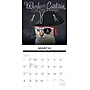 2027 Willow Creek Catspirations  12" x 12" Monthly Wall Calendar (59593)~#|#~sp322163810_sc7