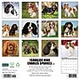 2027 Willow Creek Cavalier King Charles Spaniels  12" x 12" Monthly Wall Calendar (59623)~#|#~sp322163815_sc7