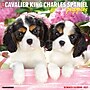 2027 Willow Creek Cavalier King Charles Spaniel Puppies  12" x 12" Monthly Wall Calendar (59616)~#|#~sp322163826_sc7