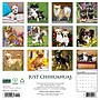 2027 Willow Creek Chihuahuas  12" x 12" Monthly Wall Calendar (59661)~#|#~sp322163856_sc7