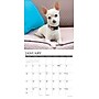 2027 Willow Creek Chihuahuas  12" x 12" Monthly Wall Calendar (59661)~#|#~sp322163857_sc7
