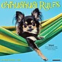 2027 Willow Creek Chihuahua Rules 12" x 12" Monthly Wall Calendar (59654)~#|#~sp322163862_sc7