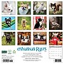 2027 Willow Creek Chihuahua Rules 12" x 12" Monthly Wall Calendar (59654)~#|#~sp322163863_sc7