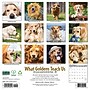 2027 Willow Creek What Goldens Teach Us 12" x 12" Monthly Wall Calendar, Assorted Colors (62913)~#|#~sp322367370_sc7