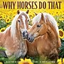 2027 Willow Creek Why Horses Do That 12" x 12" Monthly Wall Calendar, Assorted Colors (62999)~#|#~sp322367395_sc7