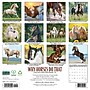 2027 Willow Creek Why Horses Do That 12" x 12" Monthly Wall Calendar, Assorted Colors (62999)~#|#~sp322367396_sc7