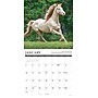 2027 Willow Creek Why Horses Do That 12" x 12" Monthly Wall Calendar, Assorted Colors (62999)~#|#~sp322367397_sc7