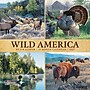 2027 Willow Creek Wild America 12" x 12" Monthly Wall Calendar, Assorted Colors (63002)~#|#~sp322367418_sc7