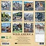 2027 Willow Creek Wild America 12" x 12" Monthly Wall Calendar, Assorted Colors (63002)~#|#~sp322367419_sc7