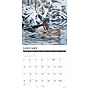 2027 Willow Creek Wild America 12" x 12" Monthly Wall Calendar, Assorted Colors (63002)~#|#~sp322367420_sc7