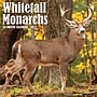 2027 Willow Creek Whitetail Monarchs 12" x 12" Monthly Wall Calendar, Assorted Colors (62975)~#|#~sp322367443_sc7