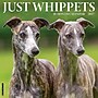 2027 Willow Creek Whippets 12" x 12" Monthly Wall Calendar, Assorted Colors (62968)~#|#~sp322367485_sc7