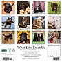 2027 Willow Creek What Labs Teach Us 12" x 12" Monthly Wall Calendar, Assorted Colors (62944)~#|#~sp322367498_sc7