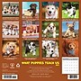 2027 Willow Creek What Puppies Teach Us 12" x 12" Monthly Wall Calendar, Assorted Colors (62951)~#|#~sp322367516_sc7