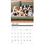 2027 Willow Creek What Puppies Teach Us 12" x 12" Monthly Wall Calendar, Assorted Colors (62951)~#|#~sp322367517_sc7