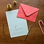 DesignWorks Ink Cardinal Wreath Holiday Cards, 5 x 7, Assorted Colors, 24 Cards/Box (THC57V-102ST)~#|#~sp322368912_sc7