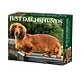 2027 Willow Creek Dachshunds 6.2" x 5.4" Daily Day-to-Day Calendar, Assorted Colors (63385)~#|#~sp322892143_sc7