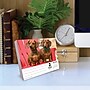 2027 Willow Creek Dachshunds 6.2" x 5.4" Daily Day-to-Day Calendar, Assorted Colors (63385)~#|#~sp322892145_sc7