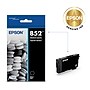 Epson 852 DURABrite Ultra Black Standard Yield Ink Cartridge (T852120-S)~#|#~sp323285130_sc7