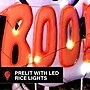 Haunted Hill Farm 2-Ft. LED Boo! Ghost Stake Sign, Indoor & Covered Outdoor, Battery Operated, White (HHMT024GHOST-WHT)~#|#~sp323363671_sc7