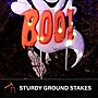 Haunted Hill Farm 2-Ft. LED Boo! Ghost Stake Sign, Indoor & Covered Outdoor, Battery Operated, White (HHMT024GHOST-WHT)~#|#~sp323363673_sc7