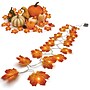 Excello Brands 7.2' Autumn Leaves LED Light Strand, Orange (OD-ATMNLED)~#|#~sp324254731_sc7