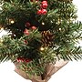 Excello Brands 24" Desktop Christmas Tree with LED Fairy Lights, Green (OD-LEDTREE-24)~#|#~sp324254787_sc7