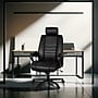 Regency DuraForce Big & Tall Ergonomic Executive Chair, 400 lb. Capacity, Black (DUR001BK)~#|#~sp324321339_sc7
