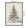 Amanti Art Snowy Winter Tree by Jolly and Dash Framed Canvas Wall Art Print, 18"W x 24"H (A426710430932)~#|#~sp324385870_sc7