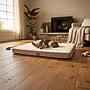 Excello Brands Pet Bed, Brown (PB-XL-6DOX-BRN)~#|#~sp325129946_sc7