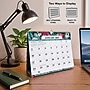 2027 Excello Brands 8.5" x 3.75" Monthly Desk or Wall Calendar, Teal Floral (DKWC-CY27-8511-17)~#|#~sp325198941_sc7