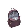 Delsey Paris Sunny Laptop Compatible Backpack, Cocoa Powder (40362260006)~#|#~sp325263910_sc7