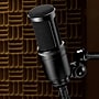 Audio-Technica Condenser Cardioid Polar Microphone for Content Creators, Black (AT2020)~#|#~sp325325150_sc7