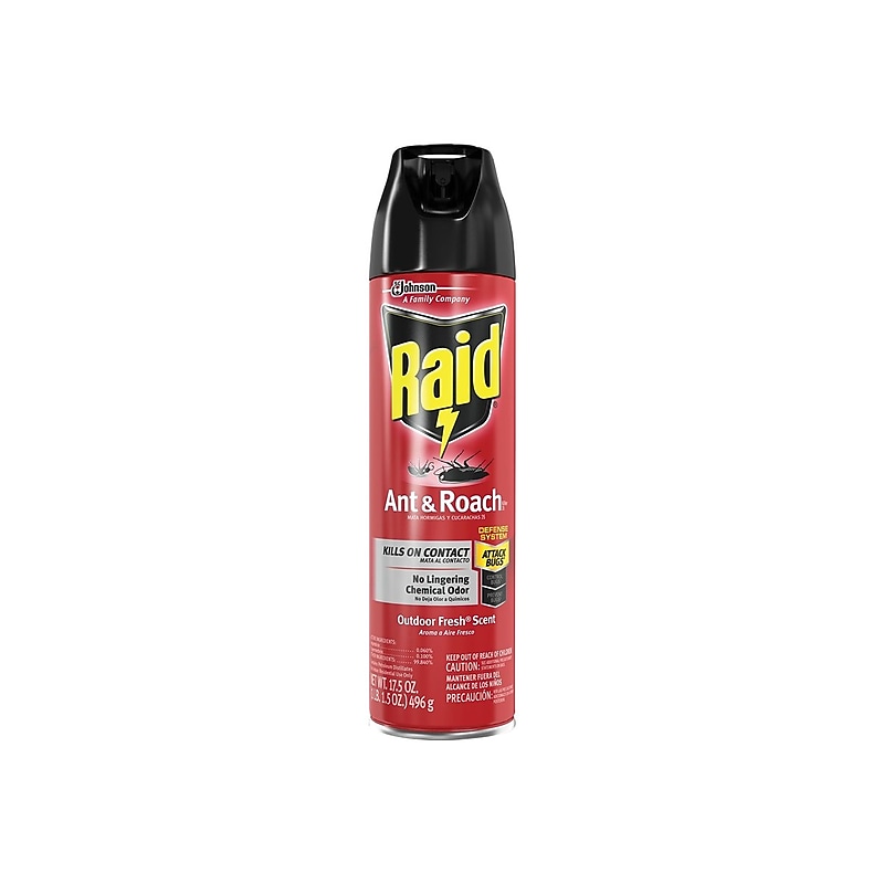 Raid Ant & Roach Killer 26 Aerosol for Ants & Roaches, Outdoor Fresh Scent, 17.5 oz. (669798) image 1