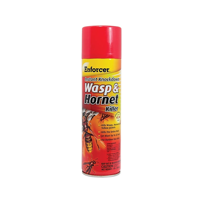 Enforcer Instant Knockdown Aerosol for Wasps & Hornets, Unscented, 16 oz. image 1