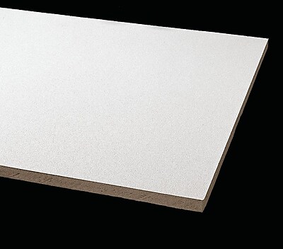 Armstrong Clean Room Vl Square Lay In 2 X2 White Ceiling Tile With 12pcs Ctn