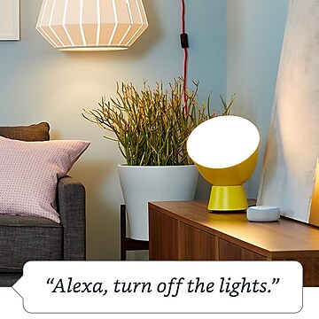 Amazon Smart Plug, White (B01MZEEFNX)