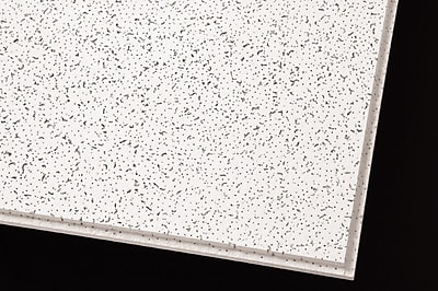 Armstrong Cortega Angled Tegular 2 X4 White Ceiling Tile 10 Count 703b