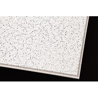 Armstrong Cortega Angled Tegular 2'x4' White Ceiling Tile, 10 Count (703B)