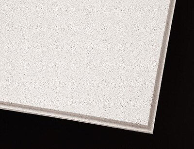 Armstrong Dune Second Look Angled Tegular 2 X4 White Ceiling Tile 10 Count 2722a