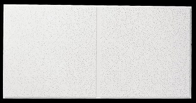 Armstrong Fine Fissured Second Look Angled Tegular 2 X4 White Ceiling Tile With 10pcs Ctn