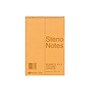 National Brand Steno Pad, 6" x 9", Gregg Ruled, Brown, 60 Sheets/Pad (RED36646)~#|#~sp36298651_sc7