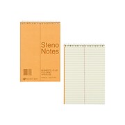 National Brand Steno Pad, 6" x 9", Gregg, Brown, 60 Sheets/Pad (36646)